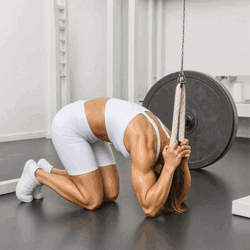 Abdominal Kneeling Cable Crunch