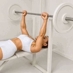 Barbell Bench Press
