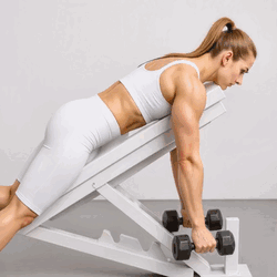 Chest Supported Dumbbell Row