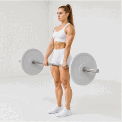 Conventional Deadlift