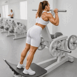 Reverse Hack Squat Machine