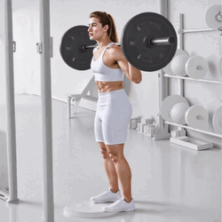 Barbell Standing Calf Raise