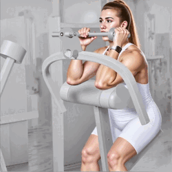 Triceps Extension Machine